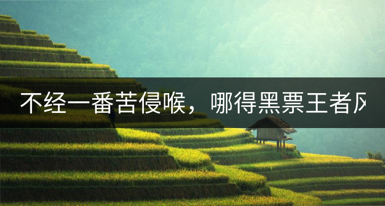 不經(jīng)一番苦侵喉，哪得黑票王者風(fēng)！