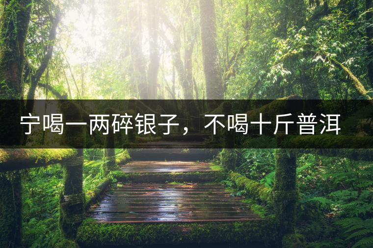 寧喝一兩碎銀子，不喝十斤普洱茶