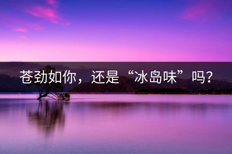 蒼勁如你，還是“冰島味”嗎？