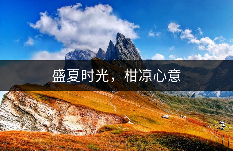 盛夏時(shí)光，柑涼心意