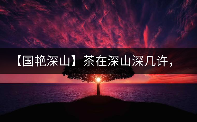 【國艷深山】茶在深山深幾許，布朗味釅釅幾分！