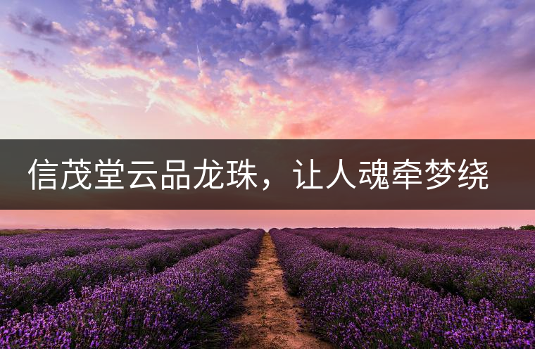 信茂堂云品龍珠，讓人魂?duì)繅?mèng)繞的尤物