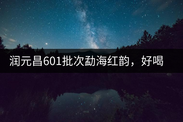 潤元昌601批次勐海紅韻，好喝不貴的口糧熟茶
