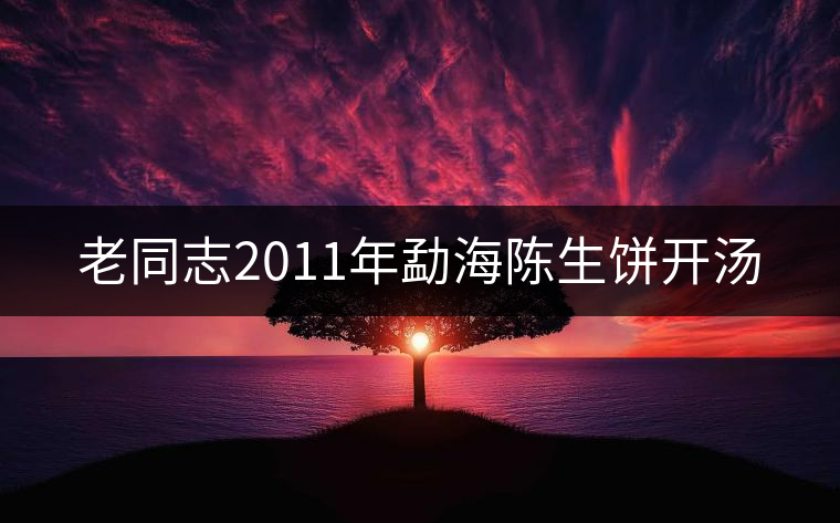 老同志2011年勐海陳生餅開(kāi)湯