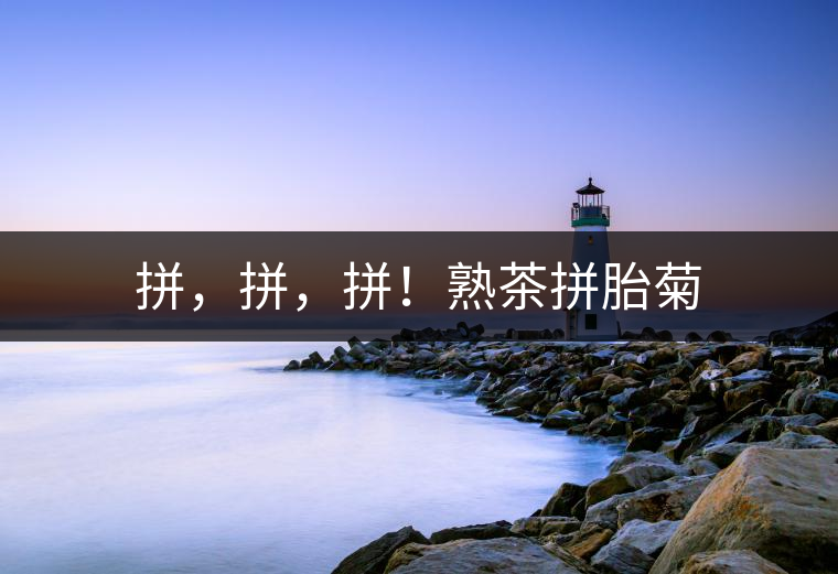 拼，拼，拼！熟茶拼胎菊