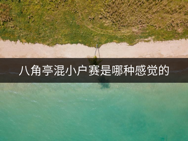 八角亭混小戶賽是哪種感覺的