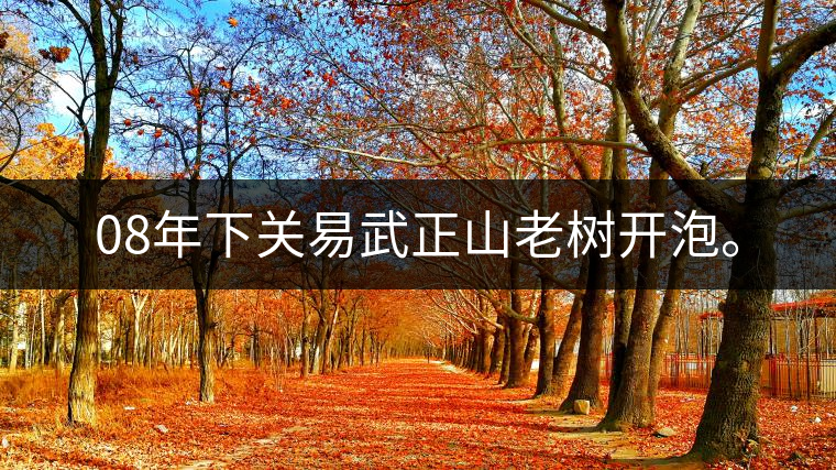 08年下關易武正山老樹開泡。