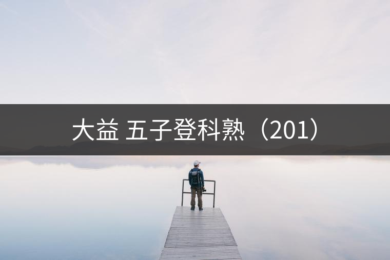 大益 五子登科熟（201）