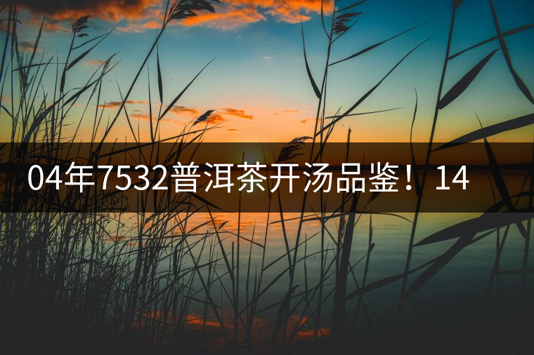 04年7532普洱茶開湯品鑒！14年轉(zhuǎn)化，經(jīng)典雪印配方！