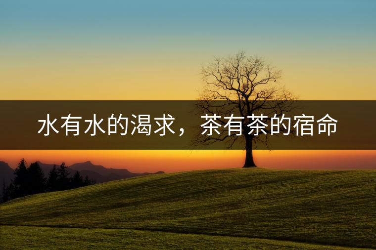 水有水的渴求，茶有茶的宿命