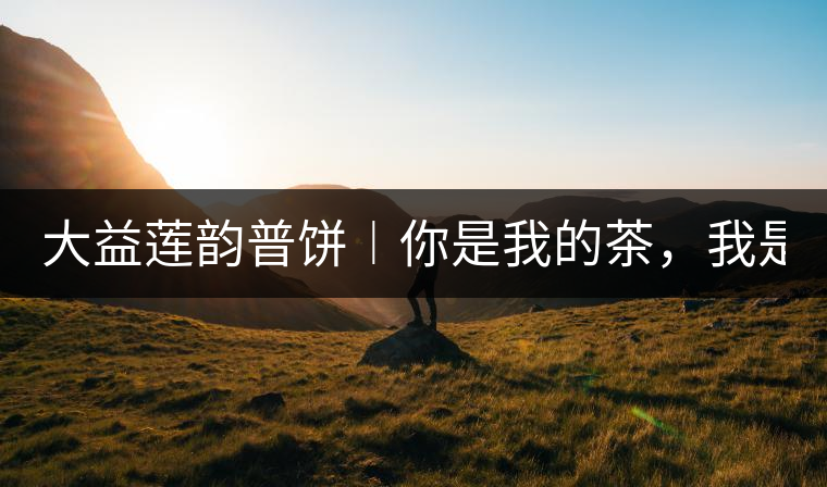 大益蓮韻普餅︱你是我的茶，我是你的人！