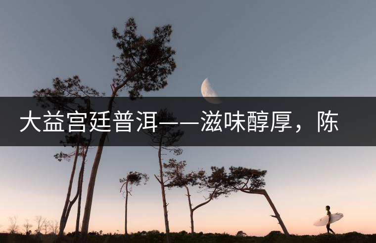 大益宮廷普洱——滋味醇厚，陳香濃郁