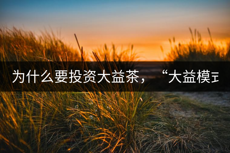 為什么要投資大益茶，“大益模式”告訴你！