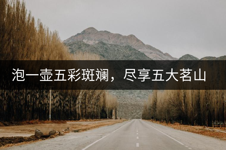 泡一壺五彩斑斕，盡享五大茗山之味