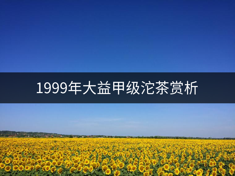 1999年大益甲級沱茶賞析 1999年大益甲級沱茶賞析
