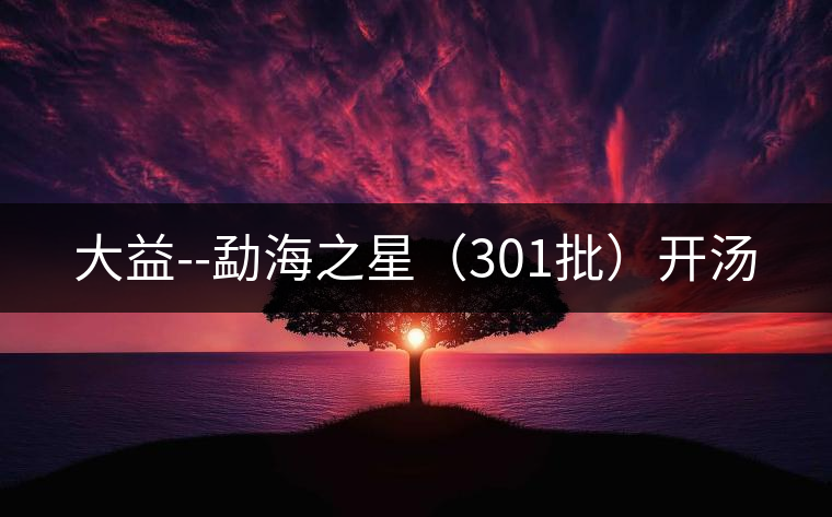 大益--勐海之星（301批）開湯