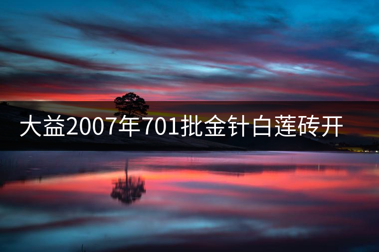 大益2007年701批金針白蓮磚開(kāi)湯品鑒 大益2007年701批金針白蓮磚開(kāi)湯品鑒