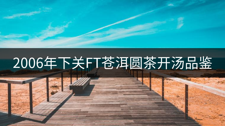 2006年下關(guān)FT蒼洱圓茶開湯品鑒 2006年下關(guān)FT蒼洱圓茶開湯品鑒