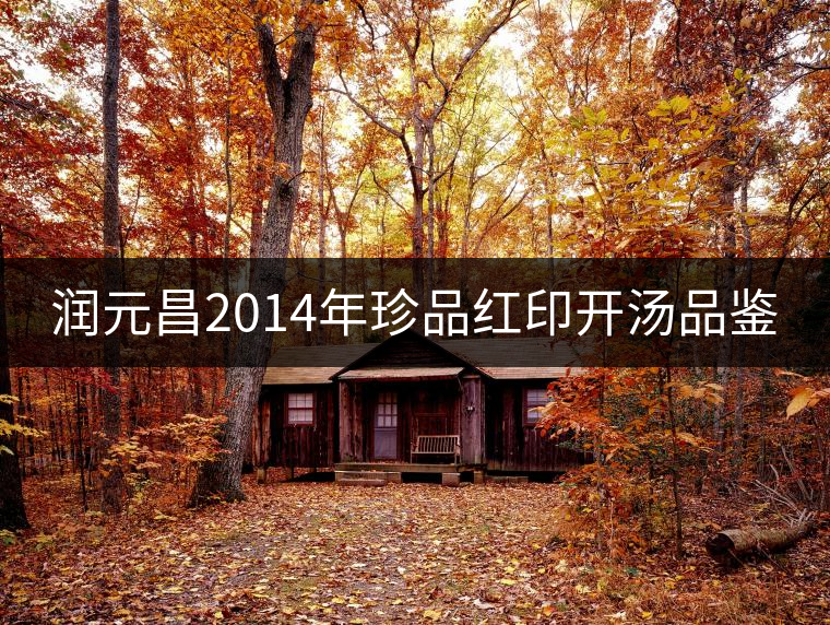 潤元昌2014年珍品紅印開湯品鑒 潤元昌2014年珍品紅印開湯品鑒