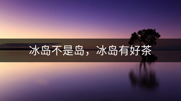 冰島不是島，冰島有好茶