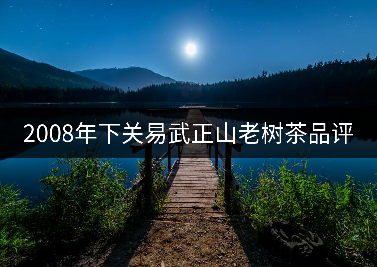 2008年下關(guān)易武正山老樹茶品評