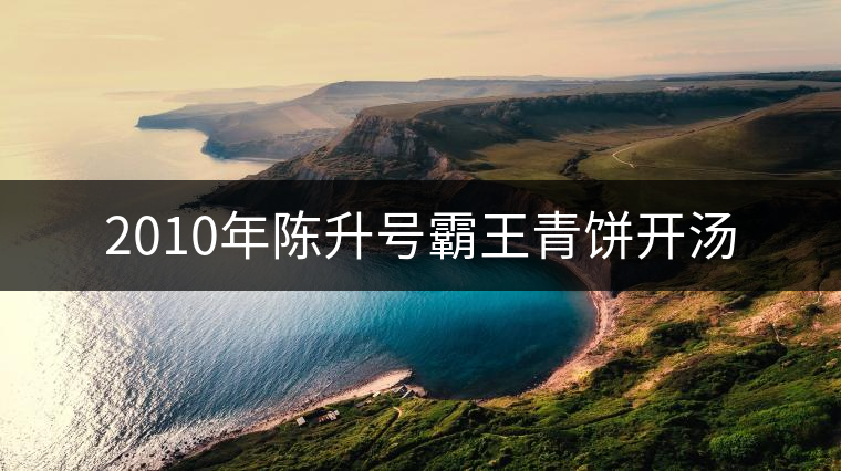 2010年陳升號(hào)霸王青餅開湯