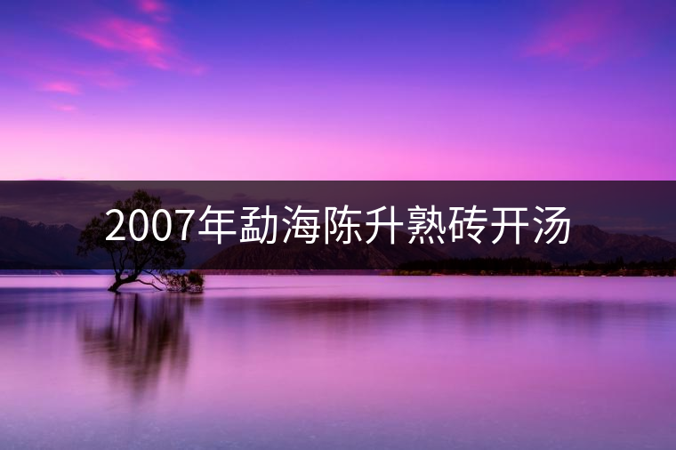 2007年勐海陳升熟磚開湯 2007年勐海陳升熟磚開湯