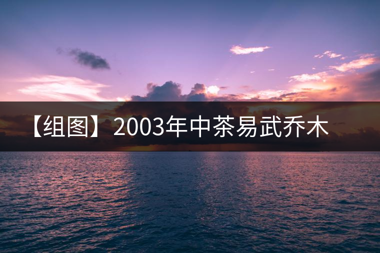 【組圖】2003年中茶易武喬木古茶開湯