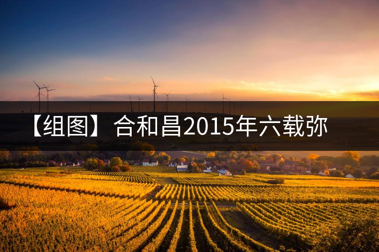 【組圖】合和昌2015年六載彌臻開(kāi)湯 【組圖】合和昌2015年六載彌臻開(kāi)湯