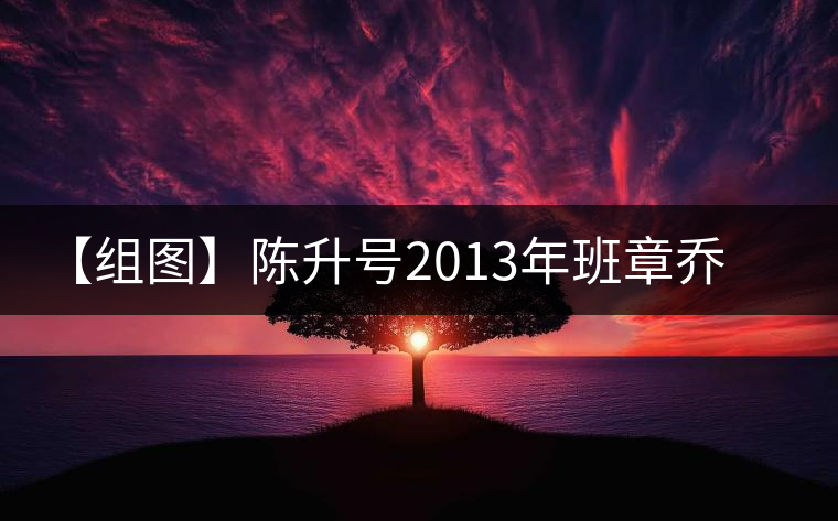 【組圖】陳升號2013年班章喬木開湯 【組圖】陳升號2013年班章喬木開湯