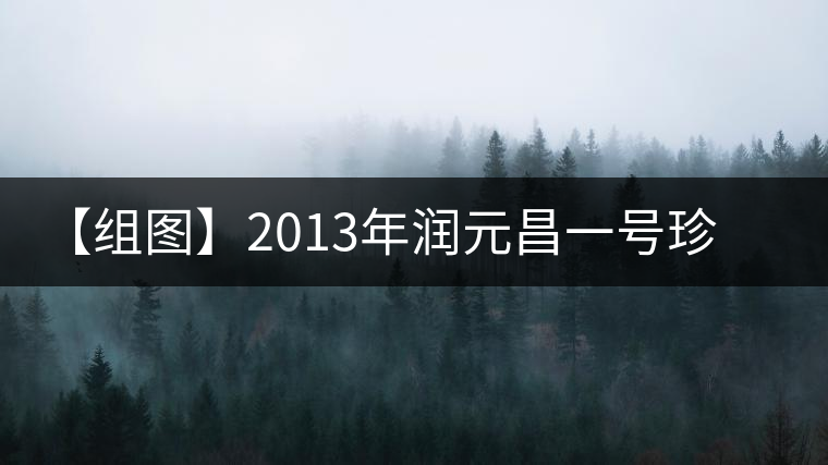 【組圖】2013年潤(rùn)元昌一號(hào)珍藏方磚開湯
