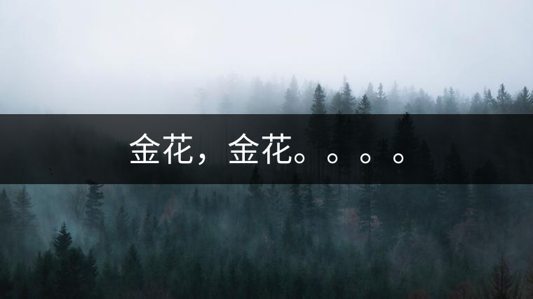 金花，金花。。。。