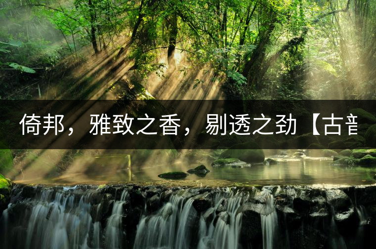 倚邦，雅致之香，剔透之勁【古普十二山品鑒】