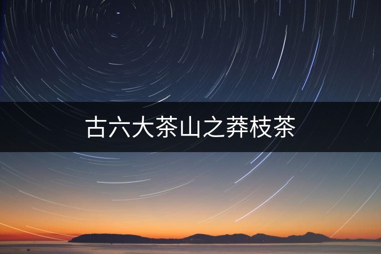 古六大茶山之莽枝茶 古六大茶山之莽枝茶
