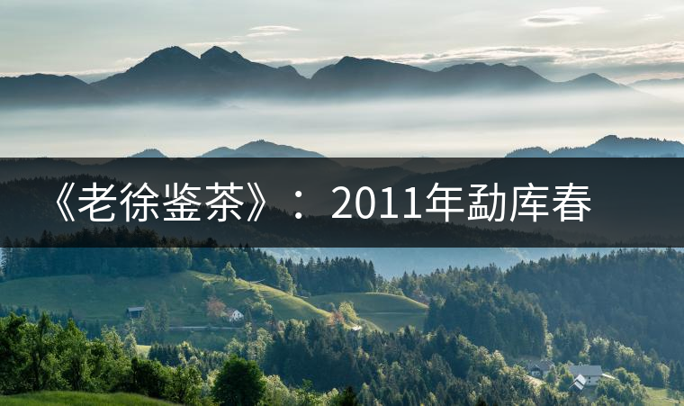 《老徐鑒茶》：2011年勐庫春茶品鑒報告