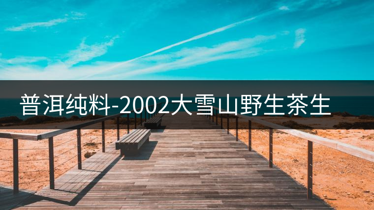普洱純料-2002大雪山野生茶生茶品鑒 普洱純料-2002大雪山野生茶生茶品鑒