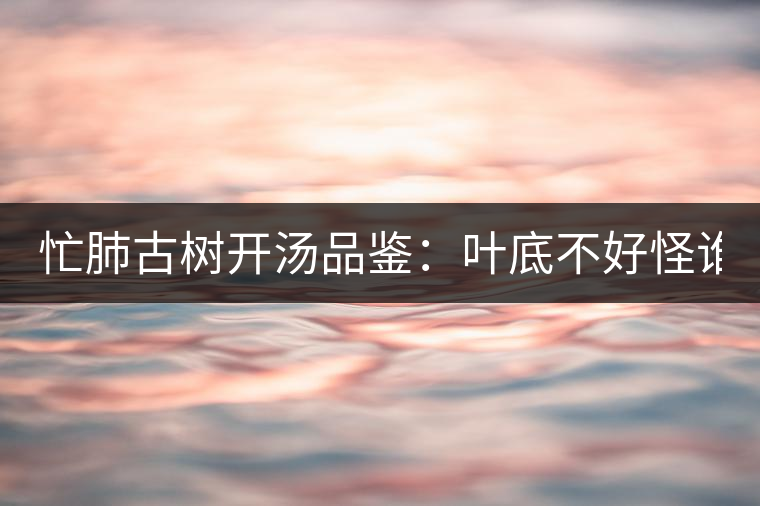 忙肺古樹開湯品鑒：葉底不好怪誰？