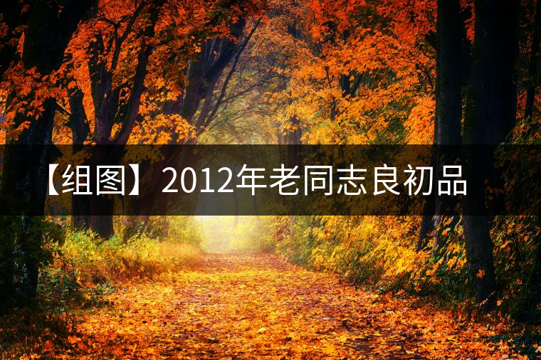 【組圖】2012年老同志良初品熟茶開湯 【組圖】2012年老同志良初品熟茶開湯