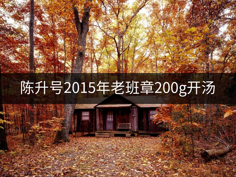陳升號(hào)2015年老班章200g開(kāi)湯 陳升號(hào)2015年老班章200g開(kāi)湯