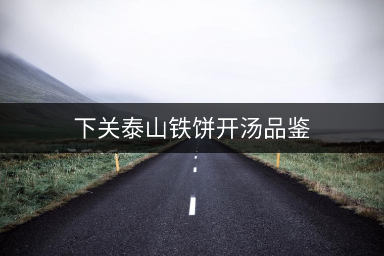 下關泰山鐵餅開湯品鑒 下關泰山鐵餅開湯品鑒