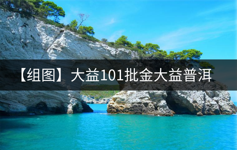 【組圖】大益101批金大益普洱生茶開湯