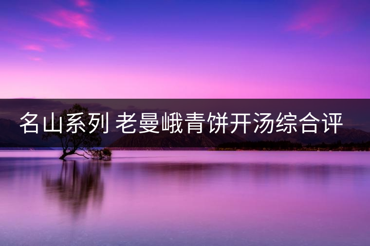 名山系列 老曼峨青餅開湯綜合評(píng)測 名山系列 老曼峨青餅開湯綜合評(píng)測