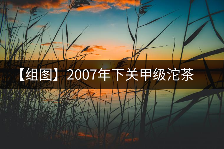 【組圖】2007年下關(guān)甲級沱茶開湯 【組圖】2007年下關(guān)甲級沱茶開湯
