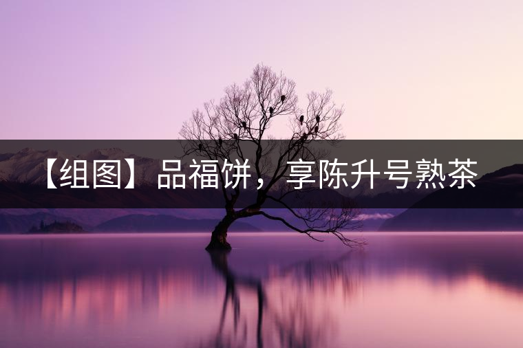 【組圖】品福餅，享陳升號(hào)熟茶滋味