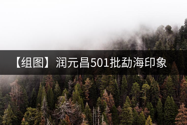 【組圖】潤元昌501批勐海印象餅開湯 【組圖】潤元昌501批勐海印象餅開湯