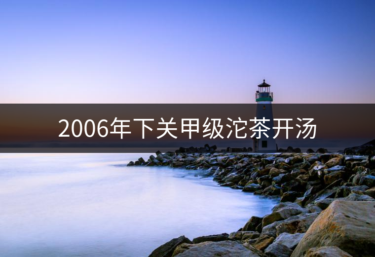 2006年下關甲級沱茶開湯 2006年下關甲級沱茶開湯