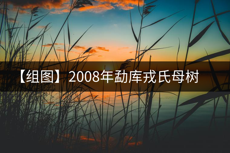 【組圖】2008年勐庫(kù)戎氏母樹(shù)茶開(kāi)湯 【組圖】2008年勐庫(kù)戎氏母樹(shù)茶開(kāi)湯