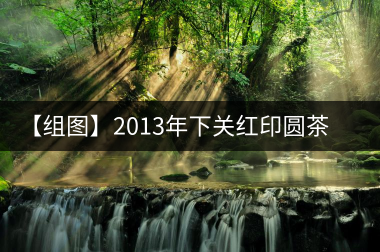 【組圖】2013年下關(guān)紅印圓茶開(kāi)湯 【組圖】2013年下關(guān)紅印圓茶開(kāi)湯