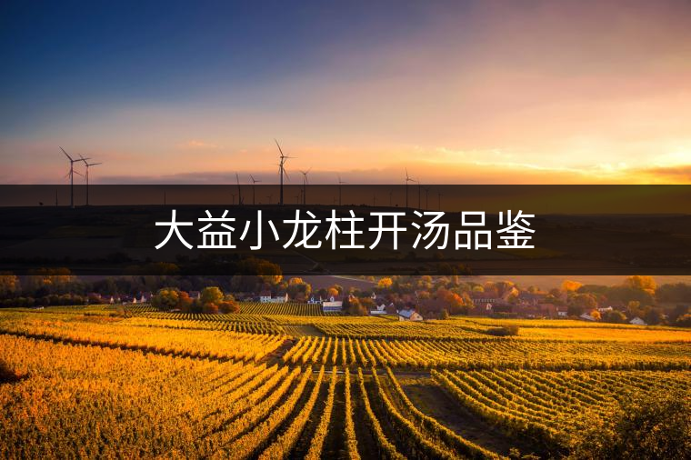 大益小龍柱開湯品鑒