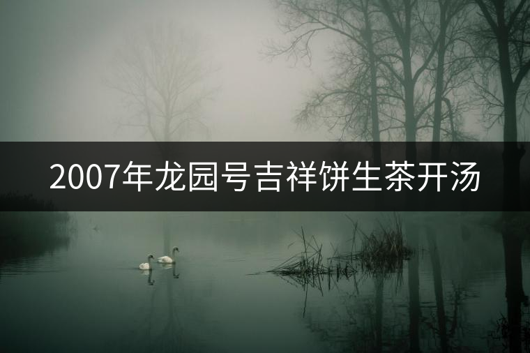 2007年龍園號(hào)吉祥餅生茶開湯 2007年龍園號(hào)吉祥餅生茶開湯